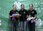  Llama Participants -  R-L Grace Gunning, Sienna Flateland, and Faith Gunning 