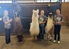Picture Left to right:  Grace Gunning, Faith Gunning and Sienna Flateland
